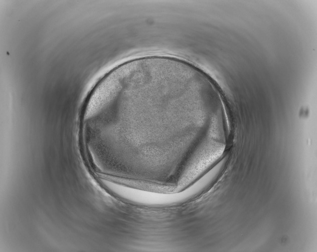 X0000093101508200710241210