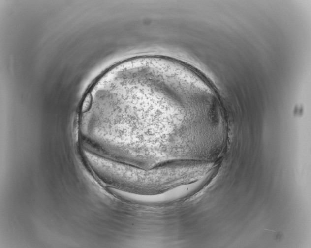 X0000093101510200710241210