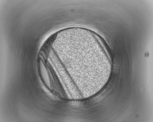 X0000093101511200710241210