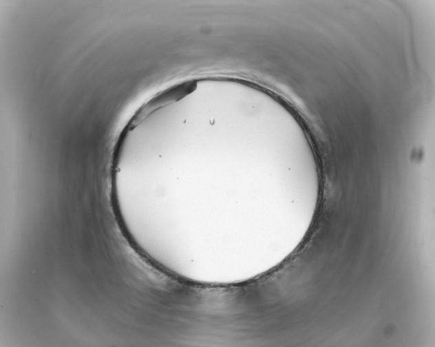 X0000093101512200710241210