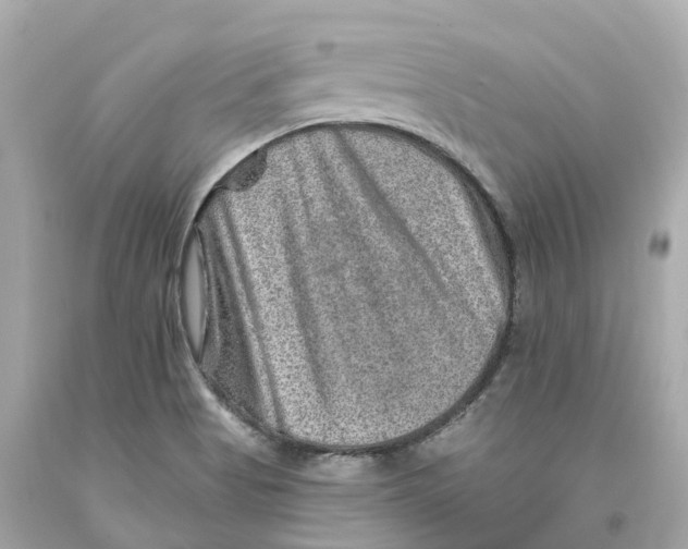 X0000093101513200710241210