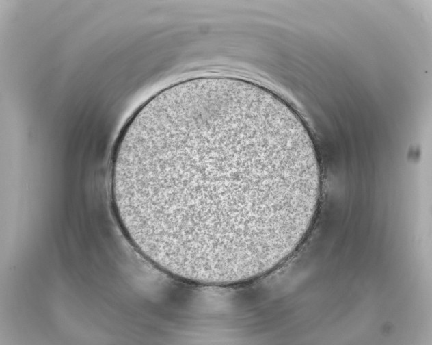 X0000093101514200710241210