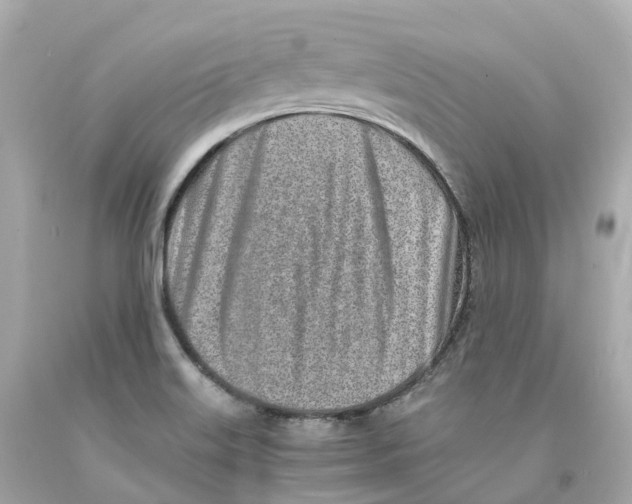 X0000093101515200710241210