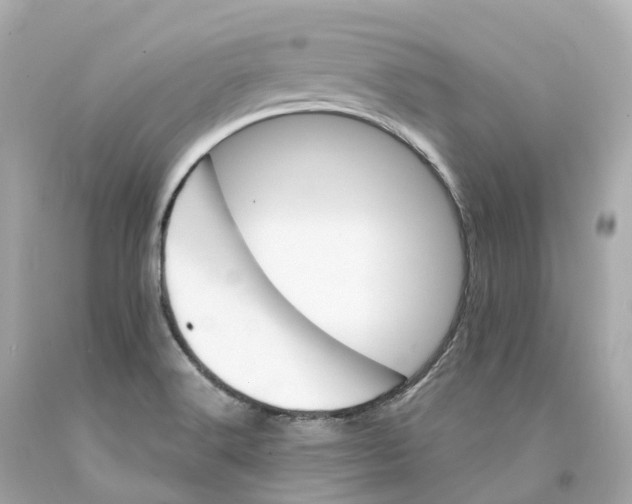 X0000093101516200710241210