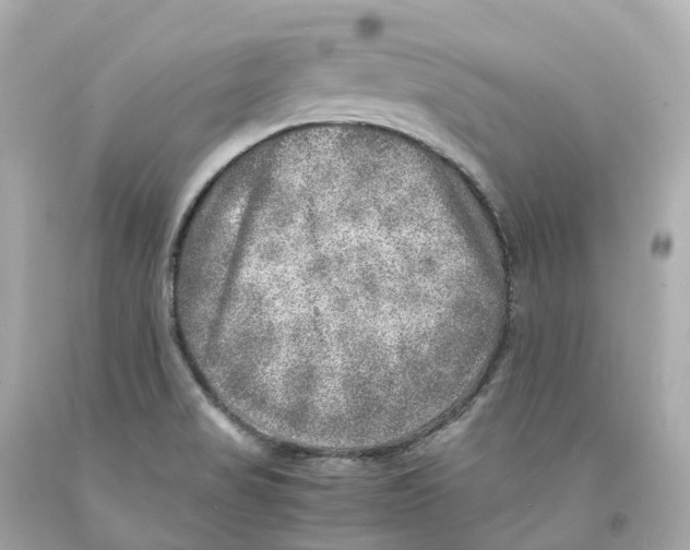 X0000093101517200710241210