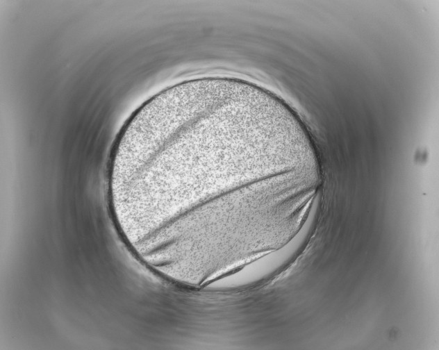 X0000093101518200710241210