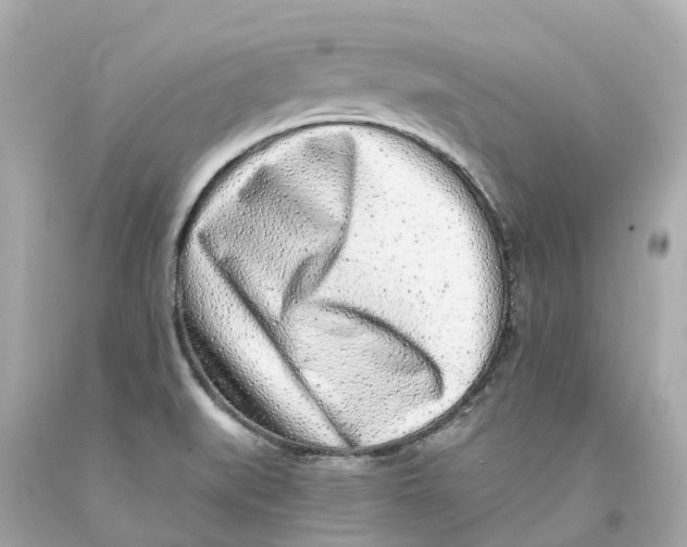 X0000093101519200710241210