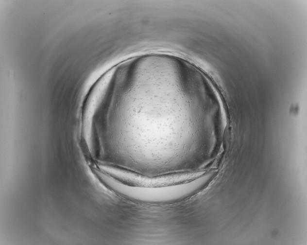 X0000093101520200710241210