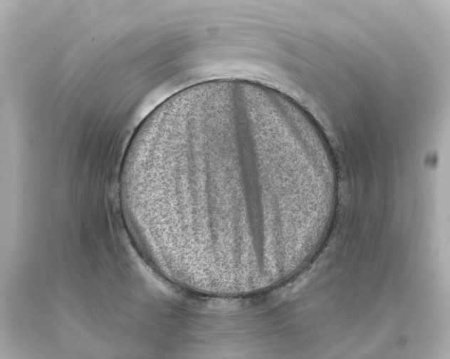 X0000093101521200710241210