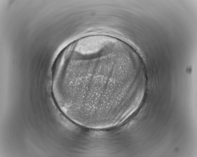 X0000093101522200710241210