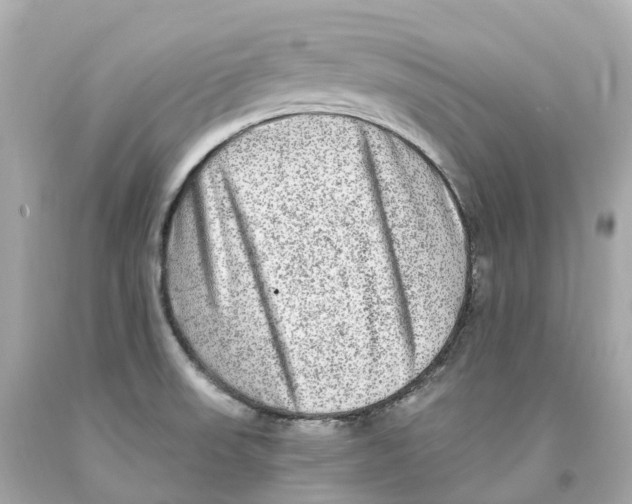 X0000093101523200710241210