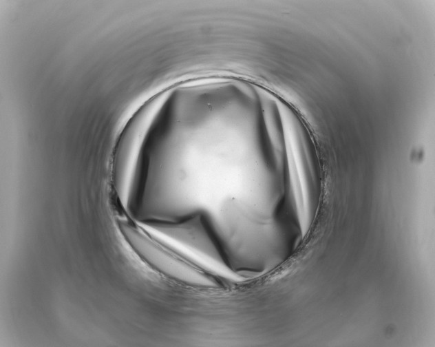 X0000093101524200710241210