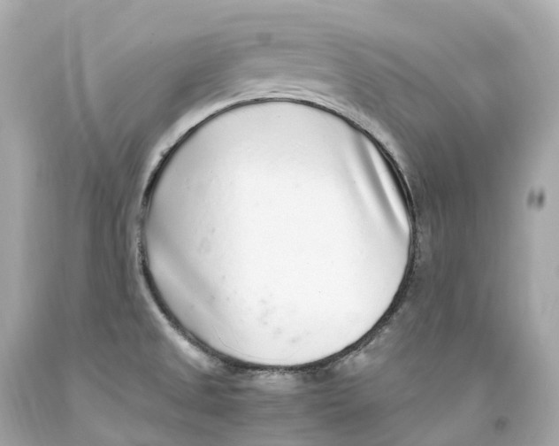X0000093101525200710241210