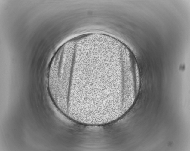 X0000093101526200710241210