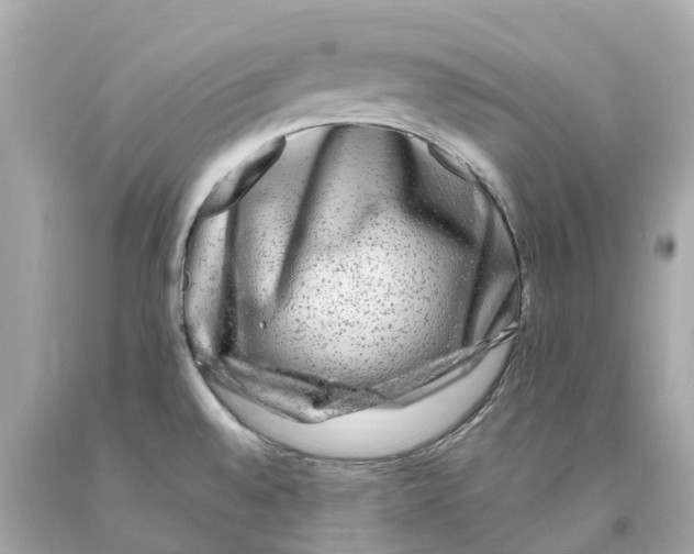 X0000093101528200710241210