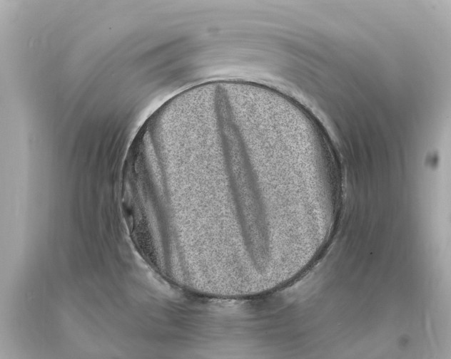 X0000093101529200710241210