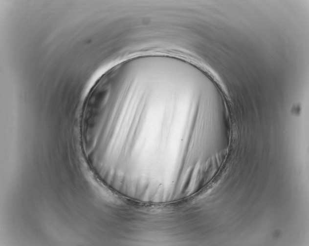 X0000093101530200710241210