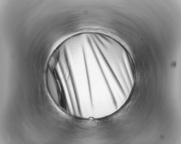 X0000093101533200710241210