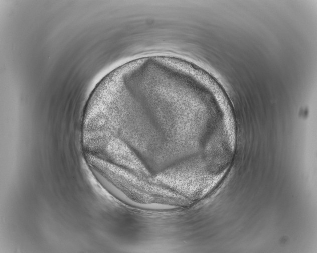 X0000093101534200710241210