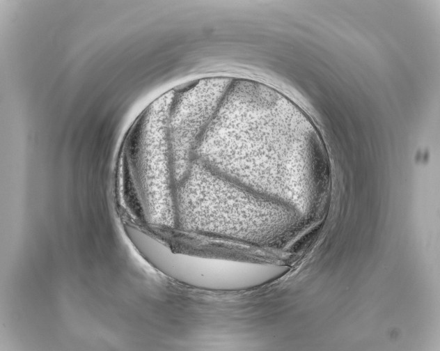 X0000093101536200710241210
