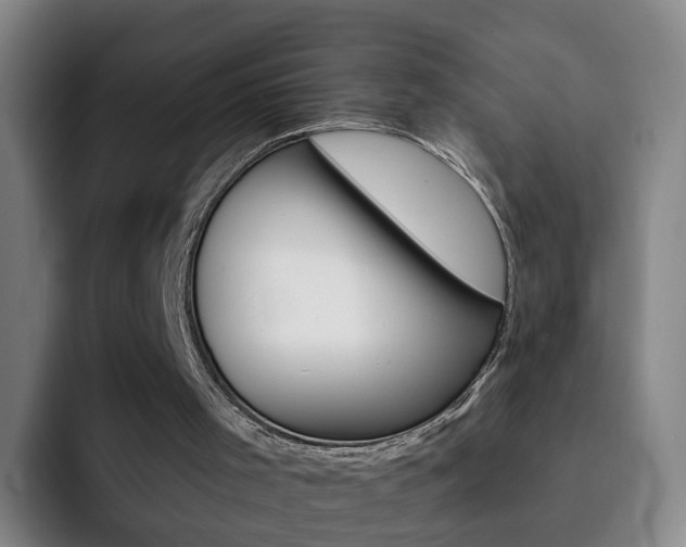 X0000093110001200709260954