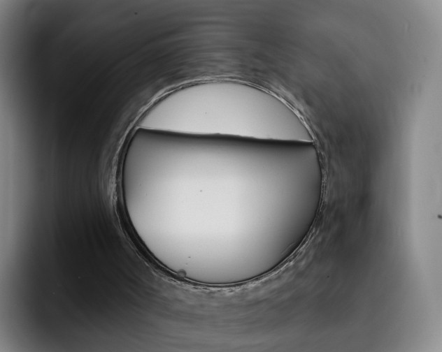 X0000093110002200709260954