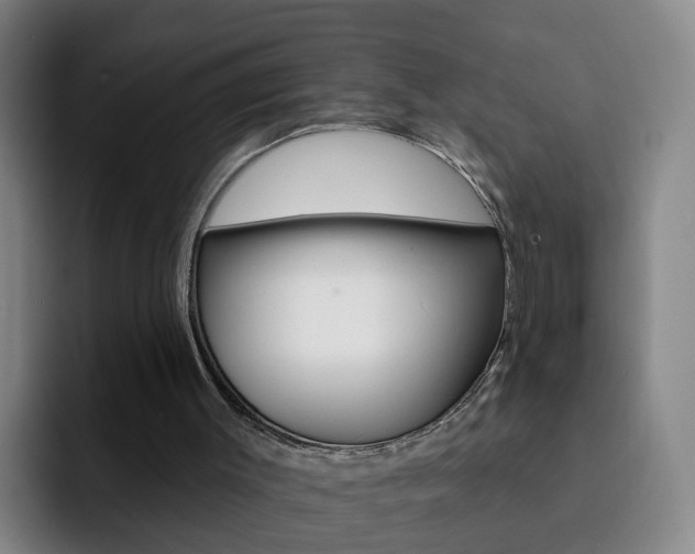 X0000093110003200709260954