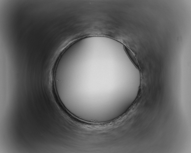 X0000093110005200709260954
