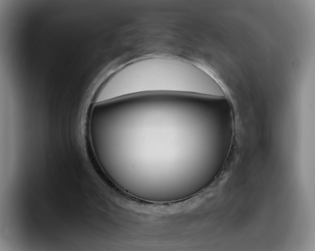 X0000093110007200709260954