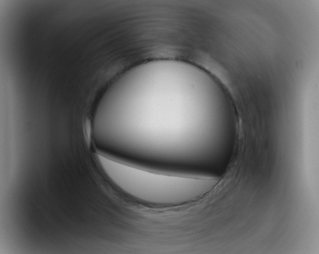 X0000093110013200709260954