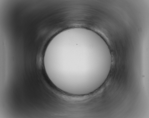 X0000093110016200709260954
