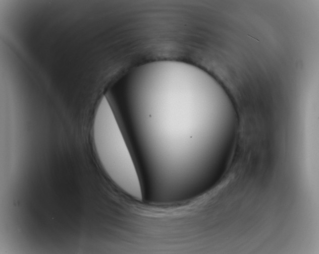 X0000093110017200709260954