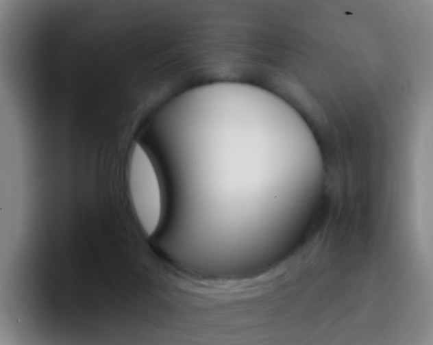 X0000093110023200709260954