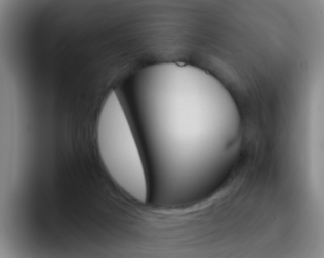 X0000093110025200709260954