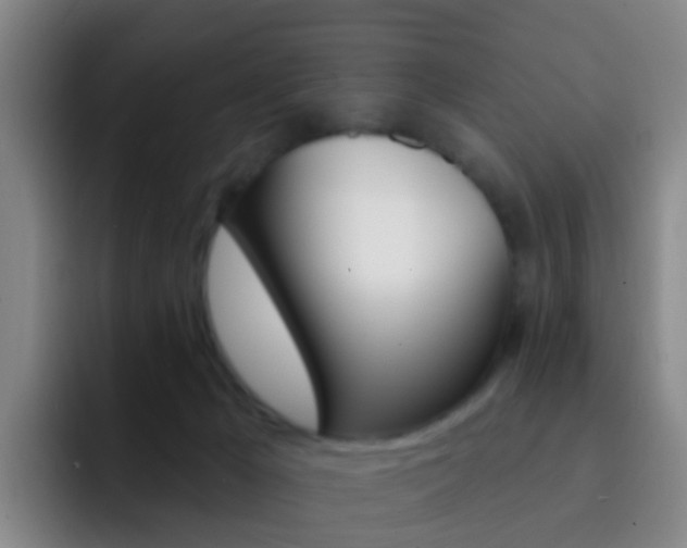 X0000093110029200709260954