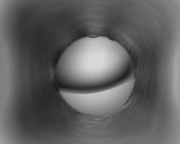 X0000093110033200709260954