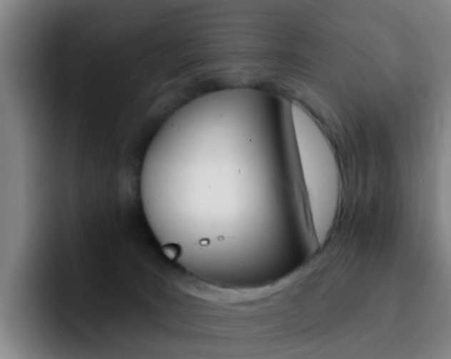 X0000093110035200709260954