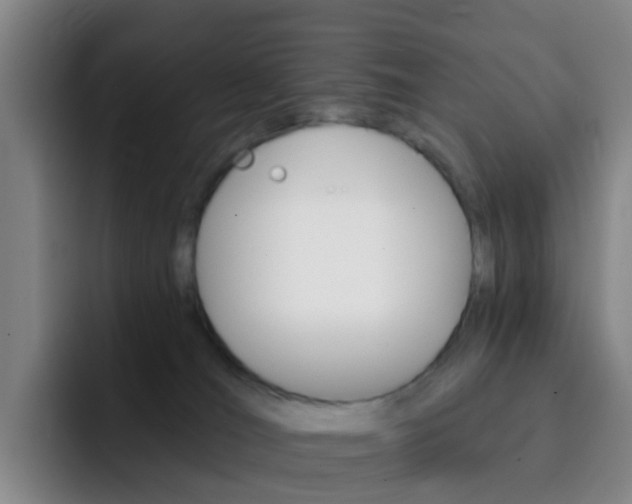 X0000093110036200709260954