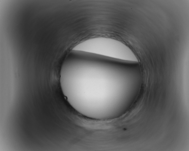 X0000093110040200709260954