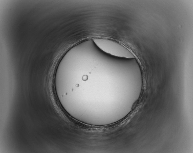 X0000093110049200709260953