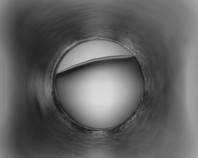 X0000093110050200709260953
