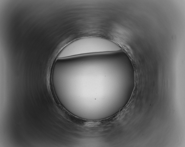 X0000093110051200709260953