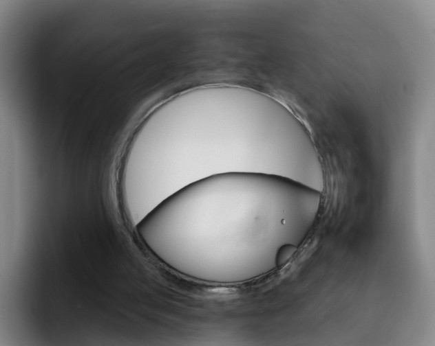X0000093110053200709260953