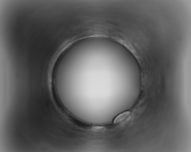 X0000093110055200709260953