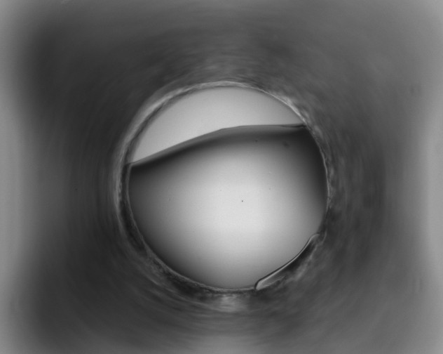 X0000093110056200709260953