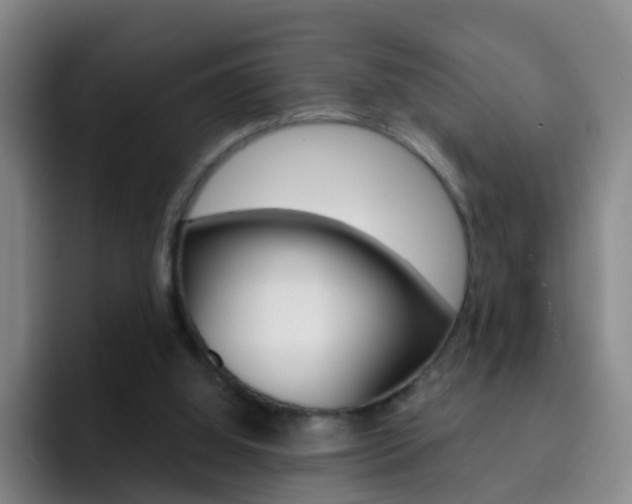 X0000093110060200709260953