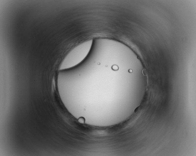 X0000093110061200709260953