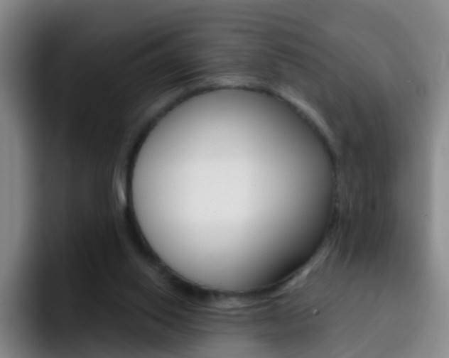 X0000093110062200709260953