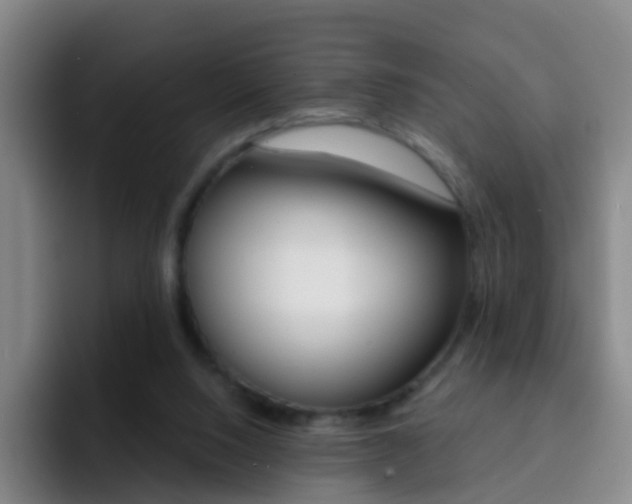 X0000093110064200709260953