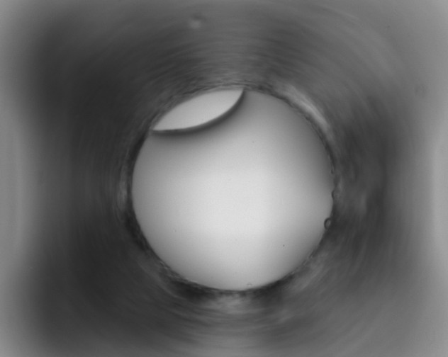 X0000093110065200709260953
